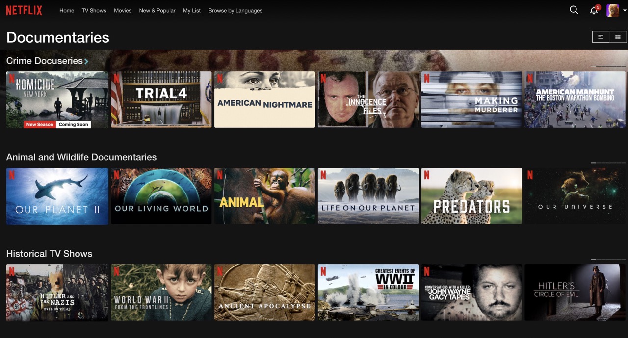 netflix home screen documentaries