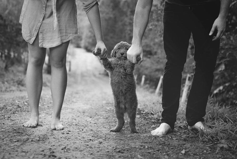 guy and girl walking dog like a toddler hand in hand